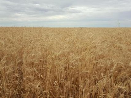 leadership-insights-11