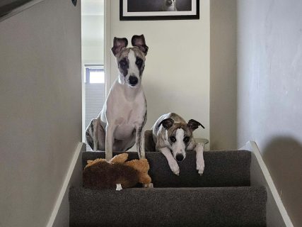 leadership-insights-5